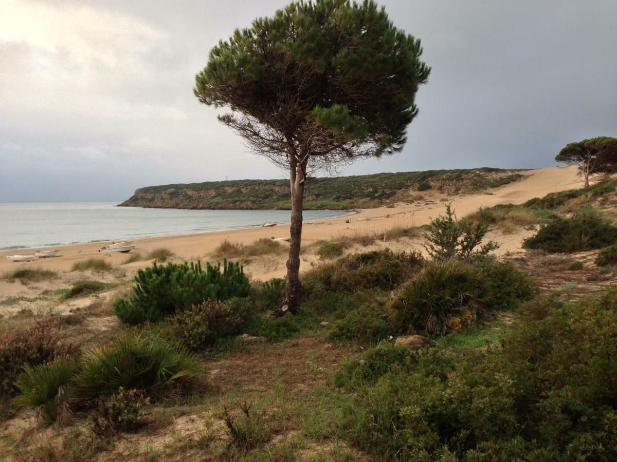 Casita De Bolonia Villa Eksteriør bilde